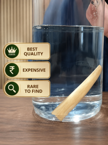 White Heartwood Sandalwood - Sinkable Grade - [6-7% Oil Content] - (Indian Santalum Album)