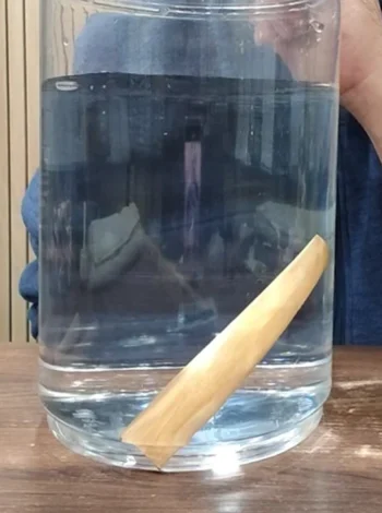 White Heartwood Sandalwood - Sinkable Grade - (7% Oil)