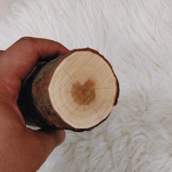 Sandalwood Log With Skin, Heartwood And Sapwood